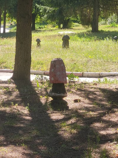 The image shows an outdoor scene in the city of Khotsky, Ukraine, with a focus on a decorative mushroom statue in the foreground. The statue is red with white polka dots on its cap and has a dark base. It is situated on a patch of ground with scattered grass and fallen leaves, partially shaded by a large tree to its left. In the background, there is a grassy area with more decorative mushroom statues of various sizes and designs, some appearing to be made of concrete or stone. The landscape is dotted with trees and other vegetation. A paved pathway with a concrete border is visible behind the main mushroom statue, with more grass and plants growing alongside it. The lighting suggests it is a sunny day, with strong shadows cast by the trees and the main statue. The overall environment appears to be a park or a recreational area.