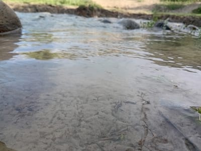 This is a close-up, low-angle, eye-level shot of a shallow, clear stream bed with sandy and rocky bottom. In the foreground, the sandy bottom is visible through the water, with some small debris and pebbles. The water is calm and reflects the sky and surrounding greenery. In the mid-ground, the stream widens and contains several rocks of various sizes. Further back, the stream appears to be flowing over a more uneven surface with more rocks and vegetation along the bank. The bank itself is covered in dry grass and soil. The background shows more vegetation and a slightly elevated bank. The overall scene depicts a natural environment, likely a rural area given the mention of Көксаяқ ауылдық округі, Kazakhstan. There are no people or animals visible in the image.