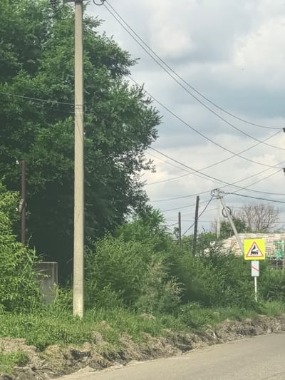 The image depicts an outdoor scene, likely a rural or suburban area in Svetlograd, Russia, on an overcast day. The foreground shows a paved road bordering a grassy verge with some rough, uneven terrain. In the middle ground, lush green bushes and trees dominate the landscape, interspersed with power poles and overhead wires, suggesting the presence of utilities.
A prominent feature is a yellow triangular road sign with a black border, indicating a railway crossing. Below this sign, a white rectangular sign with a red diagonal bar is visible. These signs suggest proximity to a railway line. Further in the background, parts of buildings are discernible, some appearing to be under construction or in disrepair, with corrugated metal roofing. The sky is filled with grey, cloudy weather, indicating a generally dull day. There are no people or animals clearly visible in the image, and no discernible text other than what is on the road signs. The overall impression is of a somewhat unkempt, functional environment focused on infrastructure and natural growth.