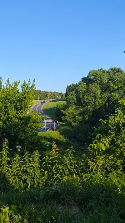 The image depicts a winding road passing through a lush, green, rural landscape under a clear blue sky. The road is paved and has lane markings. There are at least two vehicles visible on the road, one appears to be a truck and another a car. The road is flanked by grassy slopes and dense vegetation, including trees and tall plants. A red and white directional sign indicating a sharp curve is present on the right side of the road. The overall scene is serene and suggests a natural, undeveloped area. It is not possible to determine the specific location within Щапово, Russia from the image alone.