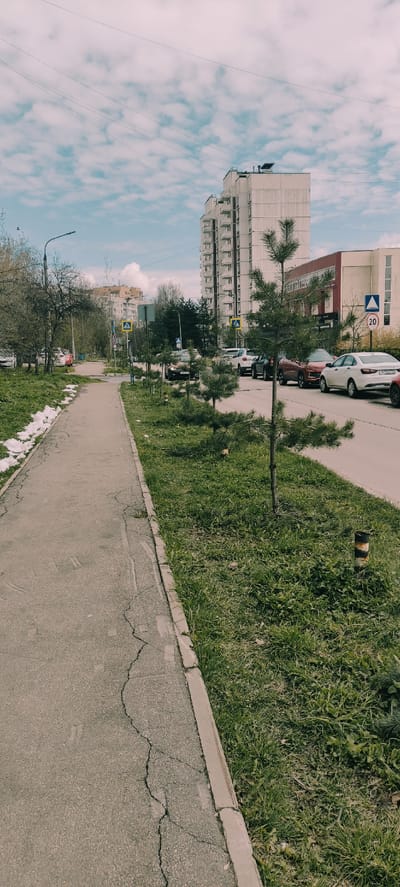 This image depicts a street in Fryazino, Russia. A sidewalk runs along the right side of the frame, showing cracks. Next to the sidewalk, there is a grassy area. Cars are parked on the street next to the grass. Several young pine trees have been planted along the street. Buildings of varying heights are visible in the background. The sky is partially cloudy, with power lines stretching across it. A pedestrian crossing sign is seen next to the building. A speed limit sign for 20 km/h is also visible.