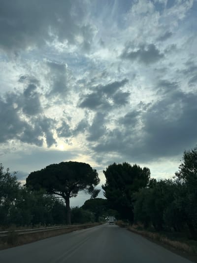 The image depicts a road in Barletta, Italy, flanked by dense foliage and trees under a cloudy sky. The sun is partially visible through the clouds, casting a diffused light. A light-colored truck is visible on the road in the distance, heading away from the camera. The road appears to be asphalt and has a guardrail on the right side. The vegetation on either side of the road is lush and green, with some trees having a characteristic umbrella shape. The overall scene suggests a rural or semi-rural setting on the outskirts of Barletta.