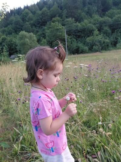 A young child, likely a toddler, is shown in a profile view, looking to the right. They have brown hair styled in a ponytail with a pink scrunchie and are wearing a pink t-shirt with a pattern of stylized flowers in red and blue. The child is holding a small cluster of white flowers in their hands. The setting appears to be a grassy field filled with various wildflowers, some purple and some white, with tall dry grass interspersed. In the background, a dense forest of green trees is visible, suggesting a rural or natural environment. The lighting suggests it is daytime, likely late afternoon given the soft quality of light, and the weather appears clear. The child's expression is one of gentle focus as they examine the flowers. No text is visible in the image. The scene evokes a sense of peaceful exploration of nature, typical of childhood outdoor activities. The location context is Chernyk, Ukraine.