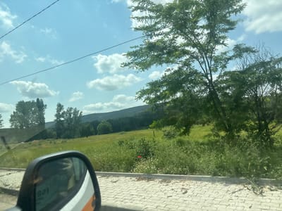The image captures a bright, sunny daytime view of a verdant rural landscape, observed from the interior of a vehicle, likely in Lesichovo, Bulgaria. In the foreground, a paved surface made of light-colored interlocking pavers runs along the bottom and right edge. The bottom-left corner features the black casing of a car's side mirror, which reflects a blurry interior, including what appears to be a hand and some indistinct shapes. Faint text, possibly "D-31" or "0-31," is visible in the reflection.

Beyond the paved area, a vast, lush green field or meadow dominates the mid-ground, filled with various grasses and small white flowers. A single, vibrant red poppy stands out in the greenery, slightly to the right of the center. The background features a distant, tree-covered hillside, indicating rolling terrain. Several large trees with dense green foliage are prominent, with one tree occupying a significant portion of the right side of the frame, its branches extending towards the sky. Other trees with sparser or bare branches are also visible.

The sky is a clear, bright blue, adorned with scattered white cumulus clouds. Two thin black power lines stretch horizontally across the upper part of the sky. The scene conveys a sense of peaceful nature and open space on a fair-weather day. No people are explicitly visible, and the activity suggested is travel through a scenic area.