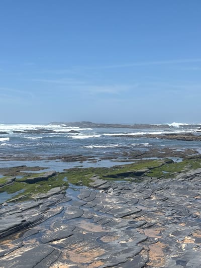 This image depicts a wide view of a rocky coastline, presented as being located in Aljezur, Portugal. The upper third of the frame is dominated by a clear, bright blue sky, with faint, thin wisps of clouds visible near the horizon. The midground shows the dark blue ocean with numerous white-capped waves breaking against scattered, dark, rugged rock formations that extend horizontally across the water. A subtle atmospheric haze obscures the farthest horizon. The foreground consists of an expansive, dark grey, layered rock platform, characterized by irregular patterns of erosion and visible stratification. Numerous clear tidal pools are present among these rocks, reflecting the sky and containing still water. Patches of bright green algae or moss adhere to the rock surfaces, especially in areas adjacent to the water. Some lighter, sandy-brown sediment or rock coloration is visible beneath the clear water in the foreground pools. No people, animals, or artificial structures are visible within the scene.