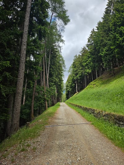 A gravel path leads through a dense forest on a cloudy day. The path is flanked by tall evergreen trees on the left and a grassy slope with a stone wall on the right. The overall environment suggests a natural, outdoor setting, possibly in a mountainous region given the steepness of the slope and the type of vegetation. The image is a static shot, with no discernible human presence or activity. The location is the city of Pontagna, Italy.