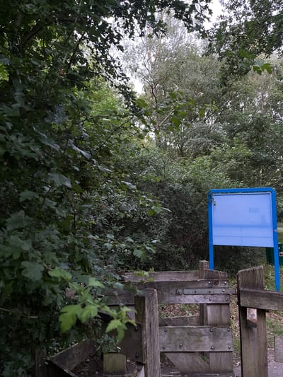 The image depicts a wooden gate next to a blue signpost surrounded by dense green foliage. The signpost has a light blue rectangular panel, possibly for displaying information, with some faint markings. The gate is constructed from weathered wooden planks, showing signs of age and use, and appears to be part of a pathway or entrance. The surrounding vegetation is lush and appears to be a mix of trees and bushes, suggesting an outdoor setting, likely a park or natural area.
The lighting suggests it is daytime, possibly overcast given the diffused light. The overall mood is natural and perhaps tranquil due to the abundance of greenery. There is no discernible text on the signpost that can be clearly read. The scene is static, with no activity taking place. The wooden structure and the natural environment are the primary subjects. Given the location context of Enschede, Netherlands, this could be a scene from a park or nature reserve within the city.