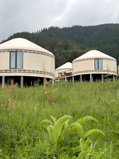 This media file showcases a row of three yurts set against a backdrop of a dense evergreen forest. The yurts are light-colored with decorative black trim along their sides and feature rectangular windows. They are elevated on wooden stilts, suggesting they are part of a glamping or lodging facility.

The foreground is dominated by tall, lush green grass and wildflowers, with a few small pine saplings interspersed. Large, broad leaves of a plant are prominent in the lower right portion of the frame. The sky is overcast, indicating a cloudy day.

The arrangement of the yurts and the surrounding natural beauty suggest a tranquil, possibly remote, location. The scene evokes a sense of outdoor leisure and connection with nature. There is no discernible activity or event taking place, giving the impression of a static, picturesque landscape.

Visible text, likely part of the decorative trim on the yurts, is present in the form of repeating abstract or geometric patterns. The OCR results indicate some characters and sequences that appear to be stylized inscriptions or ornamental designs rather than legible words in a common language. The provided OCR output "Catecha chacha cha Tenis cha cha cha cha cachcache cha cha cha cha check" seems to be an interpretation of these decorative patterns.

Given the location context of Kaindy, Kyrgyzstan, the scene likely depicts a tourist accommodation or a traditional dwelling in a mountainous, forested region.