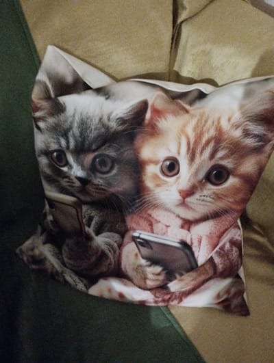The image shows a close-up of a pillow with a printed design of two kittens. One kitten is grey and white, and the other is orange tabby. Both kittens are depicted holding and looking at cell phones. The grey kitten is on the left, and the orange tabby is on the right. They are both wearing what appear to be pink sweaters. The pillow is resting on a textured surface that is likely furniture, possibly a couch or chair, in a room. The background is blurred and consists of fabric in shades of brown and tan. There is a dark green surface visible on the left edge of the image, which could be another piece of furniture or fabric. The lighting appears to be natural, coming from an unseen source. The image does not depict any recognizable landmarks or features of the Municipal Unit of Patras, Greece.