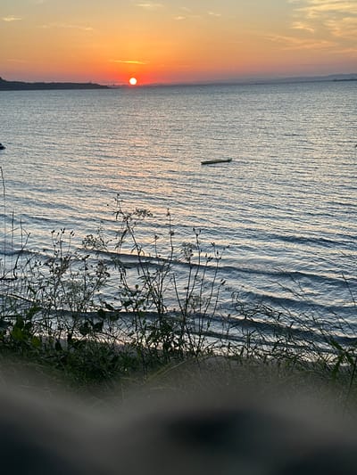 This image depicts a serene seascape at sunset. The sun, a vibrant orange orb, is low on the horizon, casting a warm glow across the sky and reflecting on the rippling water. The sky is painted with soft hues of orange and yellow, transitioning into a pale blue as it stretches towards the top of the frame. Wispy clouds add texture to the sky.
The water is calm, with gentle waves creating a textured surface that catches the light. A small, dark object, possibly a boat or a buoy, is visible in the distance on the water, adding a sense of scale to the vastness of the sea. Along the right side of the frame, a patch of tall, green grass and delicate, wispy plants with small white flowers are in the foreground, partially obscuring the view of the water and suggesting a shoreline. The overall mood is peaceful and tranquil, characteristic of a sunset by the sea.
The time of day is clearly sunset, indicated by the low position of the sun and the warm, golden light. The weather appears calm and pleasant, with no signs of harsh conditions. While a specific location isn't explicitly shown, the presence of the sea and shoreline suggests a coastal setting. The image evokes a sense of calm and natural beauty. There is no visible text in the image.