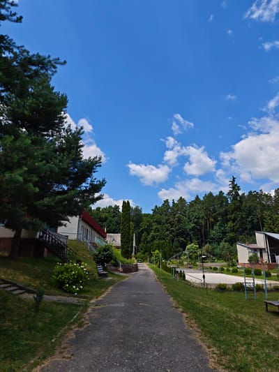 A scenic, vertical shot captures a sun-drenched day in a lush, green setting. The bright blue sky, dotted with fluffy white clouds, suggests a pleasant afternoon. A paved pathway leads the viewer's eye into the distance, flanked by vibrant green grass and mature trees. On the left, a large pine tree dominates the foreground, its branches casting dappled shadows. Adjacent to the tree is a building with a white facade and a red roof, featuring a staircase leading up to its entrance.
To the right of the pathway, the landscape transitions to a well-maintained area with a court, possibly for sports, bordered by small bushes. Another building, with a lighter colored exterior, is visible in the background on this side, nestled among the trees. The scene evokes a sense of tranquility and a connection with nature, perhaps a park or a recreational facility. The overall impression is one of a peaceful, outdoor environment on a beautiful day.