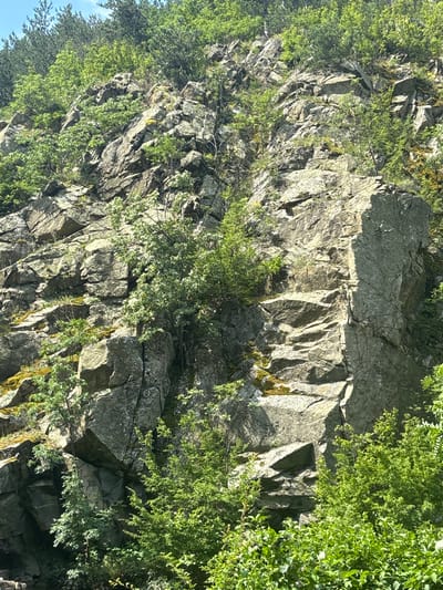 The image depicts a steep, rocky hillside covered with lush green vegetation. The rocks are predominantly grey and appear weathered, with numerous crevices and ledges. Patches of moss and lichen are visible on some of the rock surfaces. Various trees and shrubs, with vibrant green leaves, are growing amongst the rocks and at the base of the hillside, extending towards the top. The scene appears to be a natural landscape, possibly a part of the Sredna Gora mountain range near Gurkovo, Bulgaria. The lighting suggests it is daytime, with sunlight illuminating the scene and casting shadows on the rocks, highlighting their rugged texture. There are no people or man-made structures visible in the image.