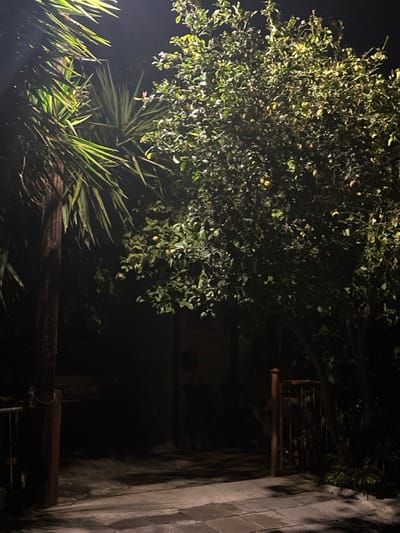 The image depicts an outdoor night-time scene, illuminated by an unseen artificial light source. A large, leafy tree, possibly a citrus tree with small, round fruits visible among its branches, dominates the left and upper-left portions of the frame, its foliage brightly lit. Below this tree, towards the bottom left, is a cluster of plants with long, spiky, sword-shaped leaves, resembling a Yucca, also catching the light.

On the right side of the image, there is a pale-colored wall or structure constructed from rectangular blocks or pavers, partially illuminated. Deep shadows obscure the background areas to the right and center. In the middle-right, a dark, ornate metallic structure, possibly part of a gate or railing, is visible. Below this, a horizontal, dark beam or ledge stretches across the mid-ground. Faint, light-colored alphanumeric text, which appears to be "CVK383" or "CVK353", is barely discernible on a dark, vertical rectangular object or sign positioned just above the horizontal beam on the right.

No specific activity or event is taking place. The scene conveys a sense of stillness and tranquility, characteristic of a garden or outdoor area at night. The provided location context is Egkomi Lefkosias, Cyprus.