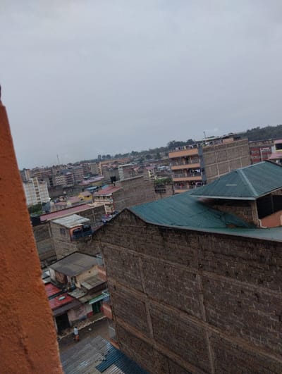 An urban scene under an overcast sky. Predominantly brick buildings dominate the middle ground, with green roofs visible on some structures. A dense collection of buildings sprawls into the distance. A single person can be seen walking on a street. A blurred, orange structure is visible in the foreground, possibly a part of the building from which the picture was taken.