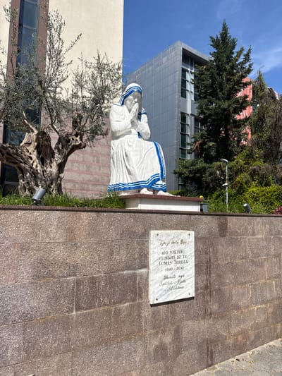The image captures a statue of Mother Teresa in Tirana, Albania. The statue is situated next to a stone wall with a plaque mounted on it, commemorating the 100th anniversary of Mother Teresa's birth (1910-2010). A gnarled olive tree stands beside the statue. In the background are modern buildings and greenery. The day appears bright, with a clear blue sky.