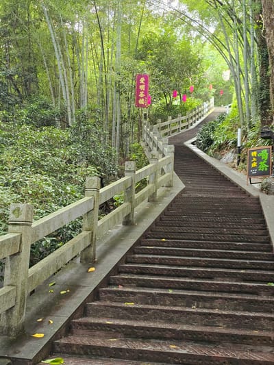 In Xihu District, China, a long, steep staircase constructed with dark, metallic treads and stone railings ascends a lush green hillside. The staircase is flanked on the left by dense foliage and bamboo stalks, with a stone barrier running alongside it. On the right, more greenery and bamboo trees arch overhead, creating a natural canopy. Several pink lanterns are suspended from the branches, and a red banner with Chinese characters hangs on a pole near the beginning of the stairs. Further up the stairs on the right, a black chalkboard sign with green Chinese characters is visible. Fallen yellow leaves are scattered on the stone walkway and the stairs. The scene depicts an outdoor staircase in a verdant, possibly park-like, environment.