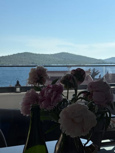 A close-up shot of a bouquet of pink and white peonies is in the foreground of the image, partially obscuring a green glass bottle and a metallic vase. The flowers are arranged in front of a blurred background that depicts a body of water, hills in the distance, and a clear blue sky. The scene appears to be set on a balcony or terrace overlooking a coastal landscape. The lighting suggests it is daytime. The water and hills evoke a coastal environment, consistent with locations like Grad Šibenik, Croatia, which features a prominent coastline and numerous islands.