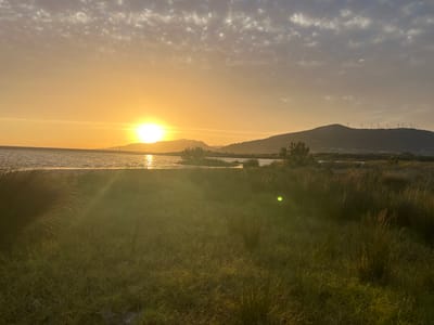 The image depicts a scenic sunset over a body of water, likely the Estrecho Natural Park near Tarifa, Spain. The sun, a bright orb, is low on the horizon, casting a warm golden glow across the sky and water. Wispy clouds are scattered across the upper portion of the sky, tinged with orange and yellow hues.
In the midground, a calm body of water reflects the sunset. Along the far shore of the water, a low hill or mountain range is visible, silhouetted against the bright sky. On the crest of this range, several wind turbines stand, their blades visible. The landscape is characterized by sparse vegetation, including grasses and small bushes.
The foreground is dominated by tall, dry grasses and reeds, also bathed in the warm light of the setting sun. Some areas of the grass show signs of being illuminated by a lens flare, appearing as a soft green orb. The overall impression is one of a tranquil, natural landscape at dusk, with elements of human presence in the form of wind turbines on the distant hills.