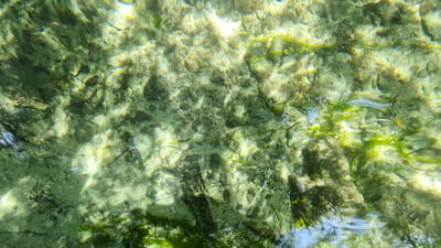 The image shows the seabed of a shallow body of water, likely the Ionian Sea, off the coast of Porto Cesareo, Italy. The seabed is composed of small rocks, pebbles, and sand, interspersed with patches of green algae and submerged vegetation. Sunlight penetrates the clear water, creating dappled patterns of light and shadow on the seabed. The surface of the water is slightly disturbed, causing ripples that distort the view of the underwater scene. The overall impression is one of a natural, undisturbed aquatic environment.