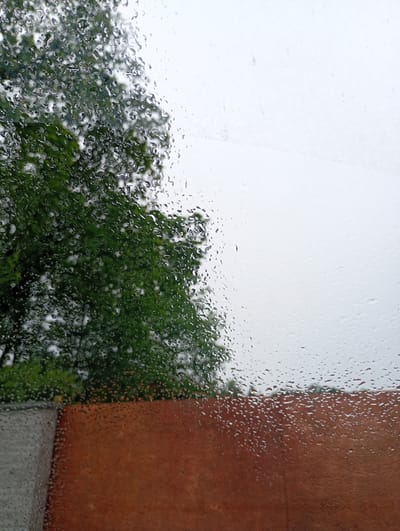 A close-up, oblique view through a rain-streaked window reveals a blurred natural and architectural scene. On the left, a large, leafy green tree is visible, its foliage rendered indistinct by the water droplets on the glass. Below the tree, a portion of a textured, reddish-brown wall extends across the lower part of the frame, also partially obscured by rain. The upper right portion of the image consists of a light, overcast sky. The overall impression is one of a subdued, possibly damp, day in Nowa Wieś Szlachecka, Poland, seen from behind glass.
