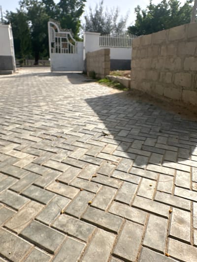 The image depicts a paved walkway leading towards a decorative white metal gate with an ornate design. The walkway is made of rectangular grey interlocking bricks laid in a herringbone pattern. To the right of the walkway, a wall constructed of light-colored cinder blocks is visible, with some greenery and sand visible beyond the wall. The background features lush green trees and a bright sky. In the foreground, a small, slender lizard is visible on the paved surface. The scene appears to be an entrance or pathway to a property, possibly residential or institutional. The context of Muhammadu Dikko Stadium, Nigeria, is not directly evident from the visual information presented in the image.