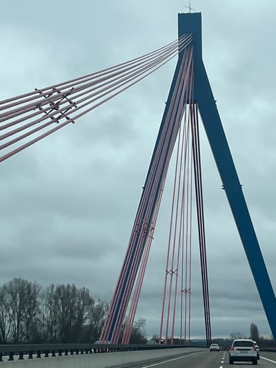 The image depicts a cable-stayed bridge carrying the B39 federal highway over the Rhine River, located in the vicinity of Hockenheim, Germany. The primary subject is the bridge's structural elements against an overcast sky. A prominent, A-frame pylon, colored dark blue, rises centrally, from which numerous thin, pink-colored stay cables extend to support the bridge deck. Some cables are bundled together, while others appear as individual strands. Multiple sets of darker, horizontal cross-bracing connect adjacent cables at varying heights.

The bridge deck features a multi-lane highway, with concrete safety barriers visible along the edges. Several vehicles are traveling on the highway in the same direction as the vantage point. A white SUV, possibly a Volvo, is positioned in the right lane of the foreground, facing away. Other vehicles are visible further down the road.

To the left of the bridge structure, a line of leafless deciduous trees is visible, suggesting a colder season. The sky is uniformly grey and heavily clouded. No individuals are discernible. The scene is illuminated by natural, diffused daylight.