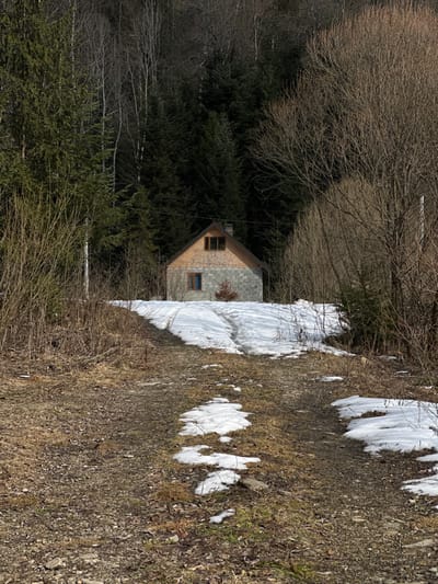 The image displays a two-story house situated in a natural, wooded setting in Korostiv, Ukraine, under daylight conditions, indicative of late winter or early spring. A dirt path, partially covered by irregular patches of melting snow and exposed brown earth, occupies the foreground. The path ascends gently towards the house. The house itself features a lower story constructed of grey, possibly block or stucco, material and an upper gable end clad in light brown shingle-like siding. A single window with a blue frame is visible on the lower level, and a multi-pane window with a brown frame is located on the upper level. A dark pitched roof tops the structure, with a visible chimney on the left side. A small evergreen sapling stands directly in front of the house on a snow-covered incline which shows shallow tracks. The background is dominated by dense forest: dark green coniferous trees are prominent on the left, while numerous leafless deciduous trees define the right side of the woodland. No individuals or active interactions are present in the scene.