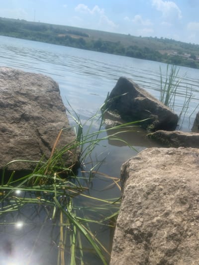 This image depicts a close-up, slightly tilted view of large rocks and tall grass at the edge of a body of water, likely a river or lake. The water surface is calm, with gentle ripples reflecting the sky. The grass, a vibrant green, grows in clumps among the rocks and extends into the water. Some of the grass blades are submerged, while others stand tall. The rocks are rough and grey, showing signs of weathering.
In the background, a distant, tree-lined embankment is visible across the water. The sky is a pale blue with scattered white clouds. The sun is shining, creating a bright glare and lens flare on the right side of the image, suggesting it is daytime. The overall mood is peaceful and natural. The scene is likely set in an outdoor, natural environment. No people or specific activities are visible. There is no visible text in the image.