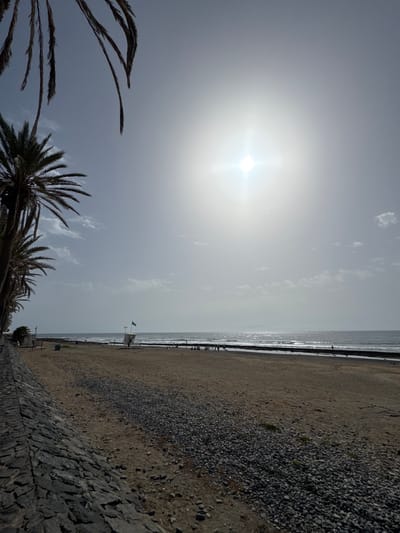 This media file shows a beach scene with the sun shining brightly. In the foreground, palm fronds are visible against a bright sky. The beach itself is composed of sand and pebbles, with a stone wall lining one side. The ocean is in the background, with gentle waves and a dark structure, possibly a pier or breakwater, extending into the water. A few people can be seen walking along the beach and near the water. There's also a lifeguard station with a green flag. The bright sun suggests it's daytime, likely midday, and the weather appears clear. The presence of palm trees and the ocean suggests a warm, coastal location, consistent with Arona, Spain. No visible text is present.
