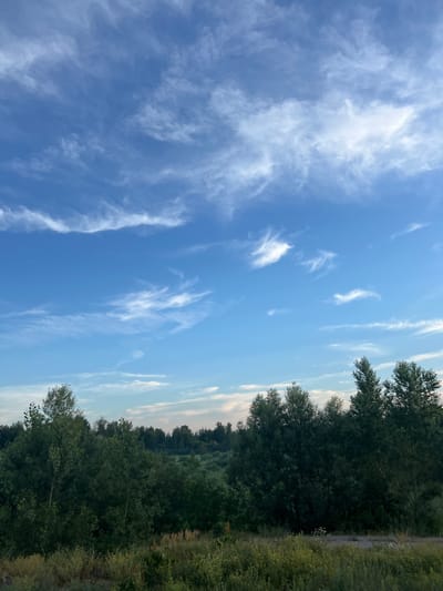 The image depicts a landscape scene, likely in or around Katkovskii, Russia, characterized by a vast blue sky adorned with wispy white clouds. The horizon is marked by a dense line of dark green trees, forming a natural barrier between the sky and the foreground. The foreground consists of a field of green vegetation, interspersed with tall grasses and smaller plants, suggesting a rural or natural environment. The lighting indicates it is likely daytime, with the sun illuminating the sky and the landscape, casting a soft glow on the scene. There are no visible people or specific man-made structures, contributing to a sense of natural serenity.