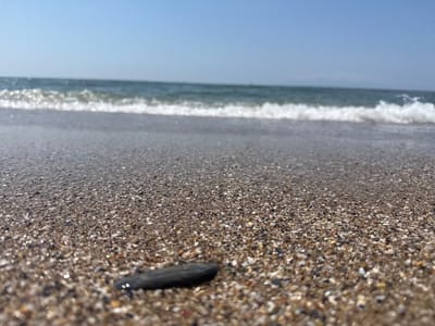 This low-angle photograph captures a tranquil beach scene in Alexandroupolis, Greece, on a clear, sunny day. The foreground is dominated by wet, glistening sand, composed of countless tiny, multi-colored grains and shell fragments, reflecting the bright sunlight. A dark, smooth, oblong pebble rests prominently on the sand in the lower-center of the frame, providing a focal point.
In the midground, the turquoise-blue sea is visible, with a line of white, foamy waves gently breaking and rolling towards the shore. The water and wave froth exhibit a soft bokeh effect, indicating a shallow depth of field. The background features the calm expanse of the deeper blue sea meeting a clear, cloudless light blue sky at the horizon.
The bright lighting suggests it is daytime, likely late morning or early afternoon, with perfect weather conditions for a beach outing. No people, animals, or man-made structures are visible, emphasizing the natural beauty and serenity of the coastal environment. There is no visible text in the image.