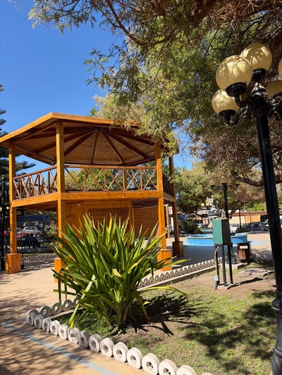 This image captures a sunny outdoor scene in the city of Pica, Chile. In the foreground, a large, lush green plant with long, sword-like leaves is prominently displayed. It is bordered by a decorative line of circular concrete stones. Behind the plant, a two-story wooden gazebo with a lattice-like railing stands out. Its wooden structure is visible, with a wooden roof overhead. The gazebo is situated on a paved area.
Further in the background, a blue fountain with a decorative statue is visible, suggesting a public park or plaza setting. A lamppost with multiple light fixtures is present on the right side of the image, partially obscuring some of the scene. Several trees with dense foliage provide shade and contribute to the natural ambiance of the location. The sky above is a clear, vibrant blue, indicating fair weather. In the distance, vehicles are parked, and glimpses of buildings and fences can be observed. The overall impression is one of a well-maintained public space, likely a park or a recreational area, in Pica, Chile.