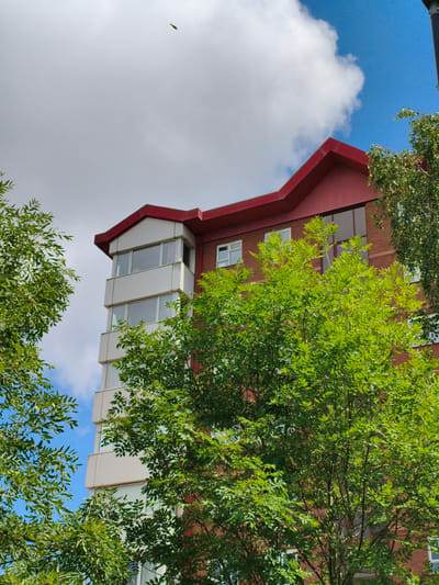An eye-level medium shot captures a brick building with a red roof and several windows. Lush green trees with dense foliage are in the foreground, partially obscuring the building. The sky above is a mix of blue and white clouds. A small, leaf-like object is visible against the sky in the upper center of the frame. The scene appears to be outdoors, possibly in a residential or urban area of Sandwell, United Kingdom.