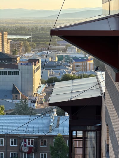 The image is a high-angle shot of an urban landscape with a natural backdrop. The foreground is dominated by the dark, angled roofline of a building, partially obscuring the view. Below this, a city unfolds, a mix of architectural styles and heights.

Prominent structures include a building with a blue "HOTEL" sign and a yellow and blue striped facade, suggesting a commercial area. Other buildings display corrugated metal roofs, typical of many urban environments. There are signs of ongoing construction with scaffolding and unfinished buildings. A river or large body of water is visible in the mid-ground, flanked by dense green trees, creating a contrast between the urban sprawl and the natural environment. In the distance, hazy mountains form the horizon under a bright, pale sky. The lighting suggests it is either early morning or late afternoon, with the sun casting a warm glow on some of the buildings. A lone black bird is perched on the edge of a building in the upper portion of the image. The scene appears to be located in Ulan-Ude, Russia, given the context. No specific activity or event is clearly depicted, it is a static view of the city and its surroundings.