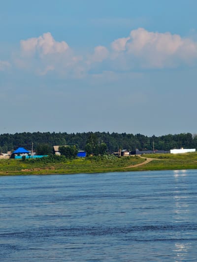 The image shows a wide river in the foreground, with gentle ripples on its surface reflecting the sky. The riverbank is covered in green grass and a dirt path winds along it. In the background, a line of trees forms a dense forest. Scattered along the riverbank are several houses, some with blue roofs. The sky above is a clear blue with a few white, fluffy clouds. The scene appears to be a rural or semi-rural setting. Based on the information, the location is identified as Potapovo, Russia.