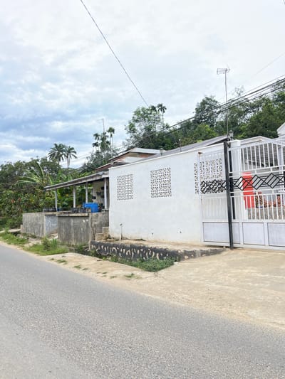 The image depicts an outdoor scene in Rantau Pauh, Indonesia. A white building with a white metal gate and decorative black metal accents is situated next to a paved road. The building has a white wall with decorative square vents. Green trees and palm trees are visible behind the building, suggesting a tropical environment. The sky is overcast with scattered clouds. The road appears to be an asphalt surface. There are electrical wires visible in the upper part of the image. The scene appears to be a residential area. There is no visible text in the image. The time of day appears to be daytime, and the weather seems cloudy.
