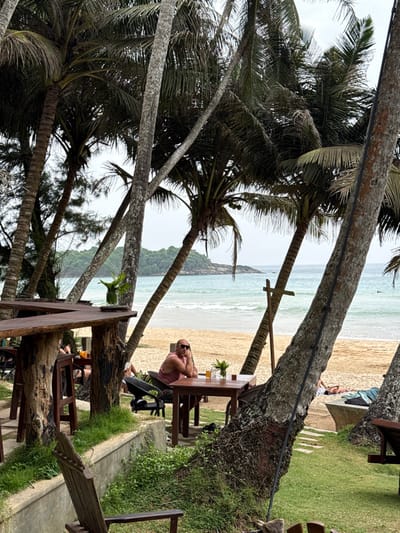The image shows a tropical scene with palm trees framing a sandy beach and ocean view. A man sits at a table near the beach, possibly enjoying a drink. Other tables and chairs are visible, suggesting a restaurant or outdoor seating area. The overall atmosphere is relaxed and vacation-oriented.