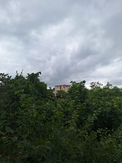 A building with a light brown facade and multiple windows is visible above a dense canopy of green trees. The sky is overcast with dark gray clouds. The scene appears to be a residential area in Gusar, Azerbaijan, characterized by lush vegetation and a cloudy sky.