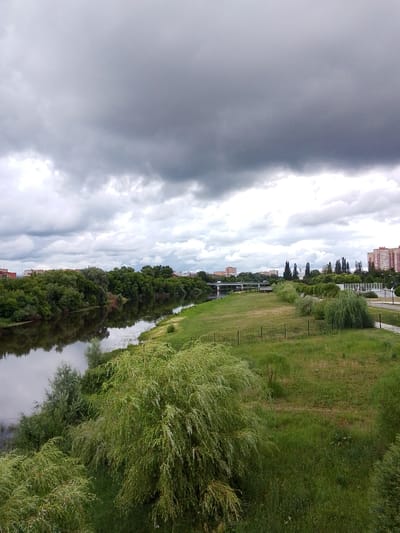 This is a photograph of a river flowing through a city with a cloudy sky overhead. The river is wide and calm, reflecting the lush green trees that line its banks. In the background, several buildings of varying heights can be seen, some with modern architecture and others appearing older. The sky is filled with heavy, dark clouds, suggesting an impending storm or overcast weather. The overall mood of the image is somber due to the dark sky, but the vibrant greenery of the trees provides a contrast, hinting at life and nature amidst the urban environment. The time of day appears to be daytime, likely late afternoon or early evening given the dim lighting. There is a bridge visible in the distance, spanning the river and connecting parts of the city. The scene depicts a typical urban landscape with a prominent natural feature. No people are visible in the image, and there is no visible text.