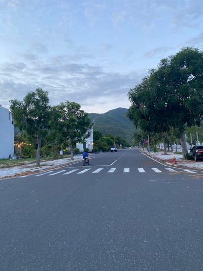 A street in Cam Lâm, Vietnam, runs horizontally. The street is asphalt with white lane markings. A tree line flanks the street on either side. In the distance, a mountain rises. A person on a scooter is driving on the road. The sky is overcast. Buildings are interspersed with trees.