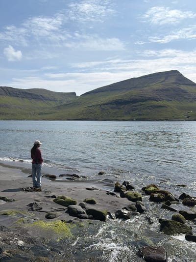 A person stands on a dark sand beach, facing a body of water. The person, wearing a maroon long-sleeved shirt, light-colored pants, and a light-colored baseball cap, has their back to the viewer. A camera is attached to their waist. The beach is scattered with rocks, some covered in green moss. The water is choppy with sunlight reflecting off its surface. In the background, a large, green, treeless mountain range rises from the water. The sky is blue with scattered white clouds. This scene is located in the village of Bøur, Faroe Islands.