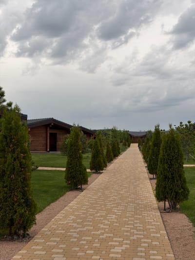 The image shows a path made of tan and cream pavers leading towards a wooden structure with a dark roof, likely a cabin or lodge, in what appears to be a landscaped garden. The path is flanked by rows of small, conically shaped evergreen trees, and the green lawn is visible on both sides. The sky is overcast with gray clouds, suggesting a cloudy or possibly stormy day. There are no people visible in the image. The exact location within Kamyshin, Russia cannot be determined from the given image.