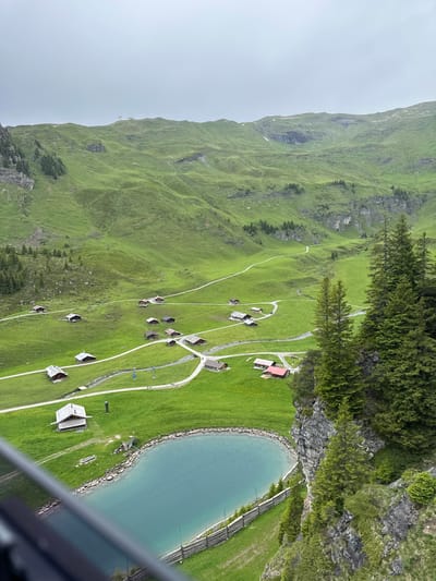 This image depicts a panoramic view of a mountainous landscape with scattered chalets and a turquoise lake in the foreground. The scene is set in the Swiss Alps, likely near Hasliberg Reuti, Switzerland, characterized by its rolling green hills, steep rock faces, and coniferous trees. The sky is overcast, casting a soft, diffused light over the entire scene.

In the mid-ground, a cluster of traditional wooden chalets with dark roofs are nestled into the grassy slopes. A winding white path connects these dwellings, suggesting a small village or hamlet. A small, clear river meanders through the landscape, feeding into the lake.

The foreground features a portion of a bright turquoise lake, its surface smooth and reflective. The edge of the lake is lined with rocky outcroppings and a rustic wooden fence. Several pine trees, some tall and slender, others shorter and bushier, grow on the rocky terrain to the right, adding vertical elements to the scene. The left side of the image is partially obscured by a dark, angled object, possibly part of a cable car or viewing platform, from which the photograph was taken.

There are no visible people in the image, but the presence of paths and chalets implies human habitation. The environment is natural and serene, with a focus on the majestic mountain scenery and the tranquil lake. The overall impression is one of a peaceful alpine retreat.