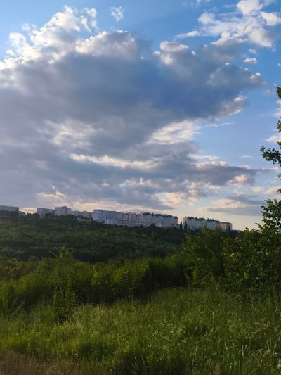 A panoramic view captures the city of Codru, Moldova, bathed in the soft light of a cloudy sky. The foreground is dominated by lush, green grass and bushes, with taller trees framing the right side of the image. In the midground, a dense forest stretches across the rolling hills, forming a vibrant green carpet. Cresting the hills is a line of multi-story apartment buildings, characteristic of urban residential areas. The sky above is a canvas of blues and grays, with large, dramatic clouds suggesting dynamic weather. The overall scene depicts a harmonious blend of nature and urban development in Codru.