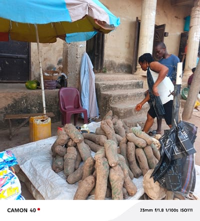 A vendor's stall displaying a large pile of yams covered by a white sheet. A person dressed in a white tank top and shorts is about to pick one up with a man standing nearby. Behind the stall, there's a weathered building with a small set of steps leading to a doorway. A multi-colored umbrella provides shade to the yams and the stall. A maroon plastic chair and a yellow canister are near the stall.