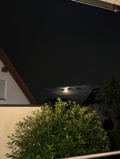 The image shows a nighttime view from a balcony or elevated position, looking out over a residential area in Ellwangen, Germany. In the foreground, a dense green bush with glossy leaves is visible, casting shadows on a cream-colored wall to its left. Beyond the bush, several dark rooftops of houses are silhouetted against a night sky. The sky is predominantly black, but a full or near-full moon is partially obscured by scattered clouds, creating a hazy glow. A section of a white building with a prominent brown wooden beam and a window with blinds is visible on the left side of the frame, suggesting it is part of the property from which the photo was taken. The overall atmosphere is calm and serene, illuminated by the moon and faint ambient light. There are no people or animals visible in the image.