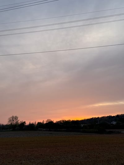 The image depicts a rural landscape at sunset or sunrise within the city of Marcoussis, France. The sky occupies the upper two-thirds, exhibiting a gradient from a pale grey-blue at the top, transitioning through lavender and pink to a vivid orange-yellow glow at the horizon. Multiple dark, parallel power lines traverse the upper half of the sky horizontally. The mid-ground features a dark, silhouetted treeline composed of deciduous and coniferous trees, with the brightest orange light of the horizon visible immediately above it. To the far right, partially obscured by foliage, a light-colored building with a dark roof is visible on a distant slope. The foreground, occupying the lower third, consists of an uncultivated or recently harvested field with varying shades of dark brown earth and ochre stubble, indicating dry conditions. No individuals or discernible activities are present.