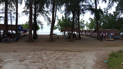 The image captures a beachfront scene at Pasi ie Leubeue, Indonesia. In the foreground, a sandy path leads to a line of thatched-roof huts situated on the beach. Several motorcycles are parked near the huts, suggesting a mode of transportation for visitors. The huts themselves appear to be open-air structures, furnished with tables and chairs, likely serving as dining or resting areas. Beyond the huts, the ocean is visible, with calm water under a cloudy sky. Tall trees with visible roots are scattered throughout the scene, providing shade and framing the view of the beach and the sea. The overall atmosphere suggests a relaxed, tropical environment, possibly a local gathering spot or a tourist destination.