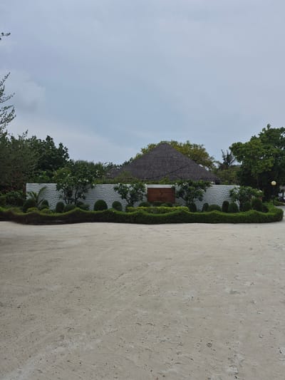 This image, likely taken in Huraa, Maldives, presents a building with a thatched roof behind a white wall. The wall is lined with trimmed green shrubbery in a circular pattern. A sandy path or area is visible on one side of the wall. The sky is overcast.