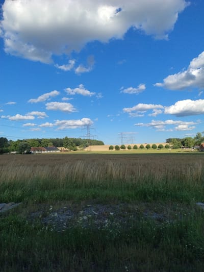 The image depicts a rural landscape under a bright blue sky with scattered white clouds. The foreground is dominated by tall, dry grass and some green vegetation with small white flowers. In the midground, there is a field of golden, ripe crops, possibly wheat or barley, bordered by a line of evenly spaced trees. Beyond the field, several red-roofed buildings are visible, suggesting a rural settlement or farm. A prominent feature of the scene is a series of electricity pylons and power lines stretching across the horizon. The setting appears to be a serene countryside, likely in the vicinity of Drhovle Zámek, Czechia, given the presence of agricultural fields, trees, and traditional building styles. There are no people or animals visible in the image.